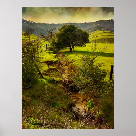 Rollende Oaks Afdrukken Poster (Voorkant)