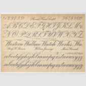 Rollerball-ontkoppelpapier Tissuepapier (Voorkant)