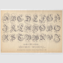 Rollerball-ontkoppelpapier Tissuepapier