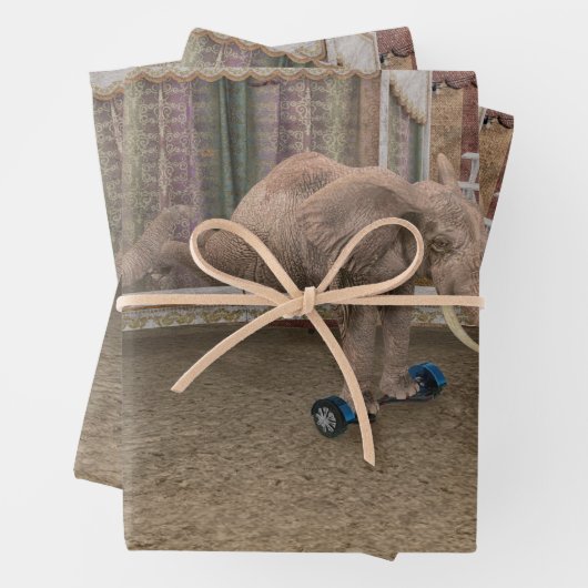 Rolling Elephants Inpakpapier Vel (In situ)