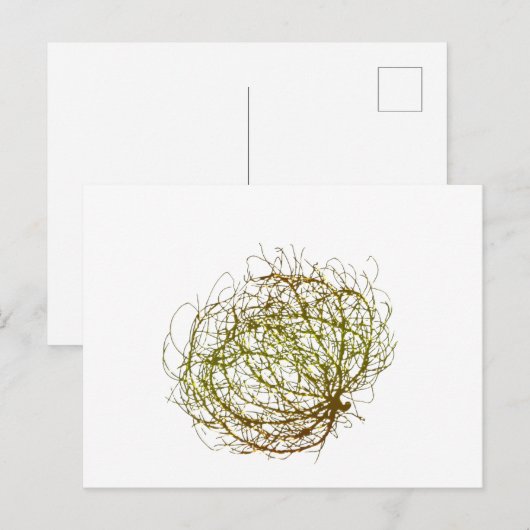 Rolling Golden Tumbleweed Plant Art Briefkaart (Voorkant / Achterkant)