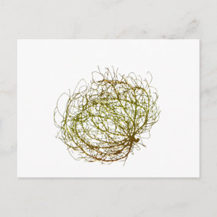 Rolling Golden Tumbleweed Plant Art Briefkaart