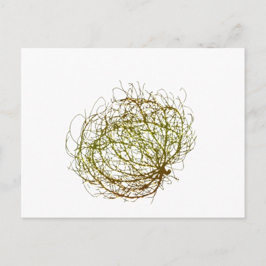 Rolling Golden Tumbleweed Plant Art Briefkaart (Voorkant)
