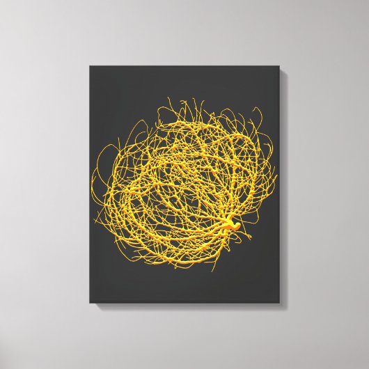Rolling Golden Tumbleweed Plant Originele Kunst Canvas Afdruk (Voorkant)