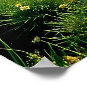 Rolling Green Hills in het voorjaar Poster (Hoek)