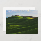 Rolling Hill Near Asciano, Toscane Briefkaart (Voorkant / Achterkant)