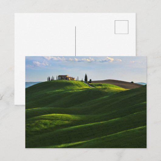 Rolling Hill Near Asciano, Toscane Briefkaart (Voorkant / Achterkant)