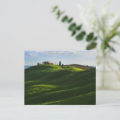 Rolling Hill Near Asciano, Toscane Briefkaart (Staand voorkant)
