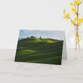 Rolling Hill Near Asciano, Toscane Kaart (Gele Bloem)