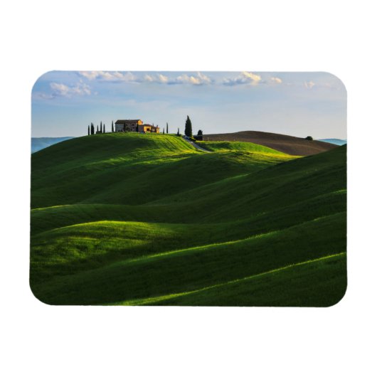 Rolling Hill Near Asciano, Toscane Magneet (Horizontaal)
