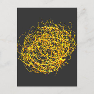 RollinGolden Tumbleweed Plant Originele Kunst Briefkaart