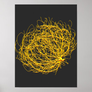 RollinGolden Tumbleweed Plant Originele Kunst Poster