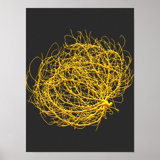 RollinGolden Tumbleweed Plant Originele Kunst Poster (Voorkant)