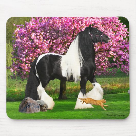 "Rollo & Cat" Mousepad Muismat (Voorkant)