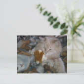 Rolmodel Cat Briefkaart (Staand voorkant)