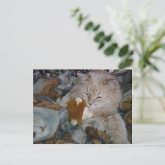 Rolmodel Cat Briefkaart (Staand voorkant)