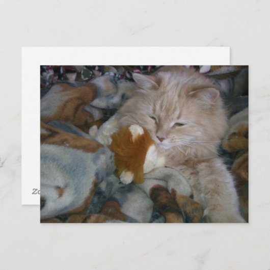 Rolmodel Cat Briefkaart (Voorkant / Achterkant)