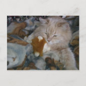 Rolmodel Cat Briefkaart (Voorkant)