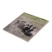 Rolpaard Tegeltje (Zijkant)