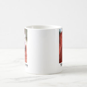 rolstoel koffiemok