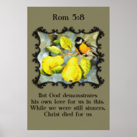 Rom 5:8 Zwarte en gele kanarie spotvogels