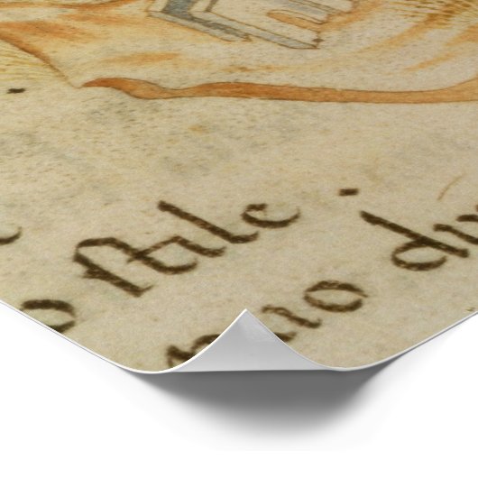 Roma La Veuve Poster (Hoek)