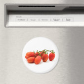 Roma Tomato Magneet (Insitu (Vaatwasser))