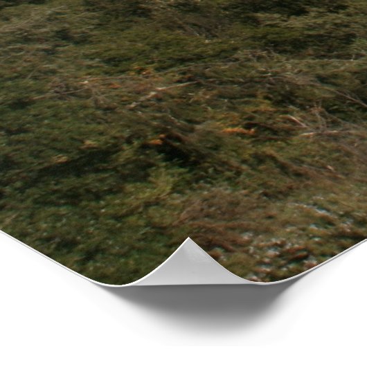 Roman Aquaduct Poster (Hoek)