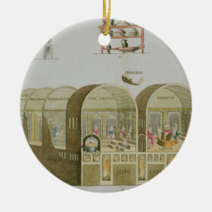 Roman Baths, bord van 'The History of the Nation' Keramisch Ornament