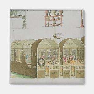 Roman Baths, bord van 'The History of the Nation' Magneet