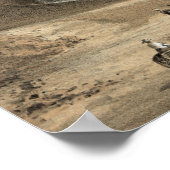 Roman Coliseum  Art Poster (Hoek)