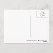 Roman Coliseum Briefkaart (Achterkant)