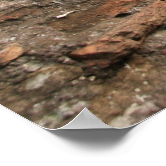 Roman Coliseum Poster (Hoek)