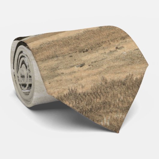 Roman Coliseum Stropdas (Opgerold)