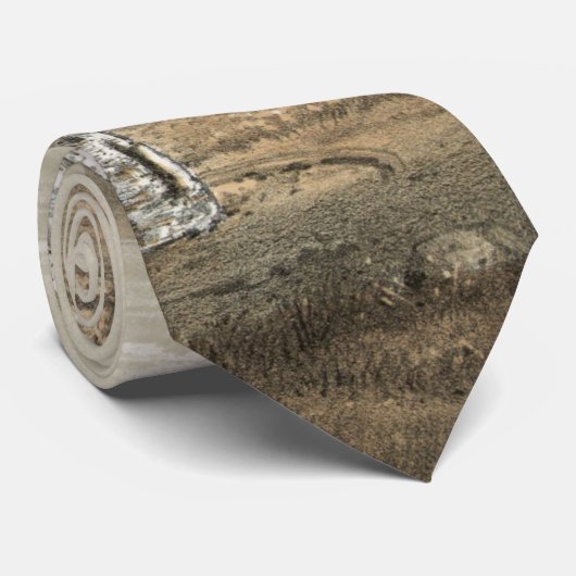 Roman Coliseum Stropdas (Opgerold)