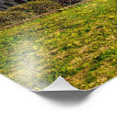 Roman Colosseum Arena Foto Afdruk (Hoek)