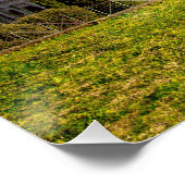 Roman Colosseum Sports Arena Perfect Poster (Hoek)