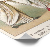 Roman Dress uit 'Trachten der Voelker', 1864 Poster (Hoek)