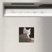 Roman felines magneet (Insitu (Vaatwasser))