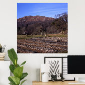 Roman Fort Ambleside Cumbria Briefkaart Cushion Poster (Thuiskantoor)