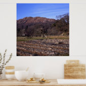 Roman Fort Ambleside Cumbria Briefkaart Cushion Poster (Keuken)