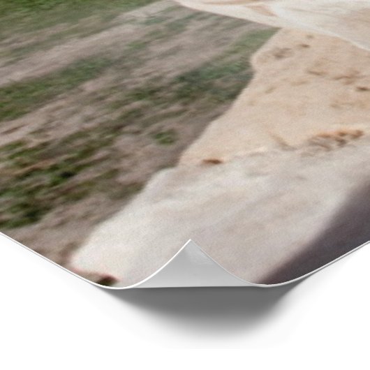 Roman Forum And Remains Of Statue, Sabratha, AZ Poster (Hoek)