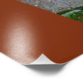 Roman Forum Foto Afdruk (Hoek)