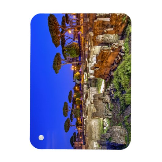 Roman Forum in Rome 's nachts, Italië - HDR. Magneet (Verticaal)