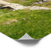 Roman Forum Poster (Hoek)