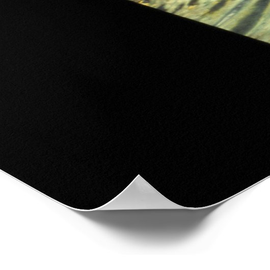 Roman Fountain, Aix-en-Provence, Frankrijk Poster (Hoek)