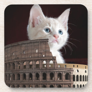 roman kat bier onderzetter