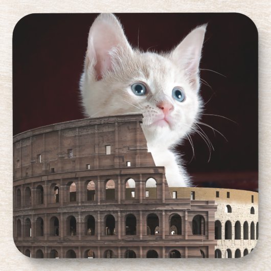 roman kat bier onderzetter (Voorkant)