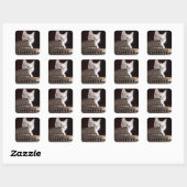 roman kat vierkante sticker (Vel)