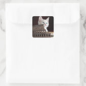 roman kat vierkante sticker (Tas)